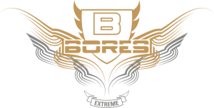 Bores Logo Gold